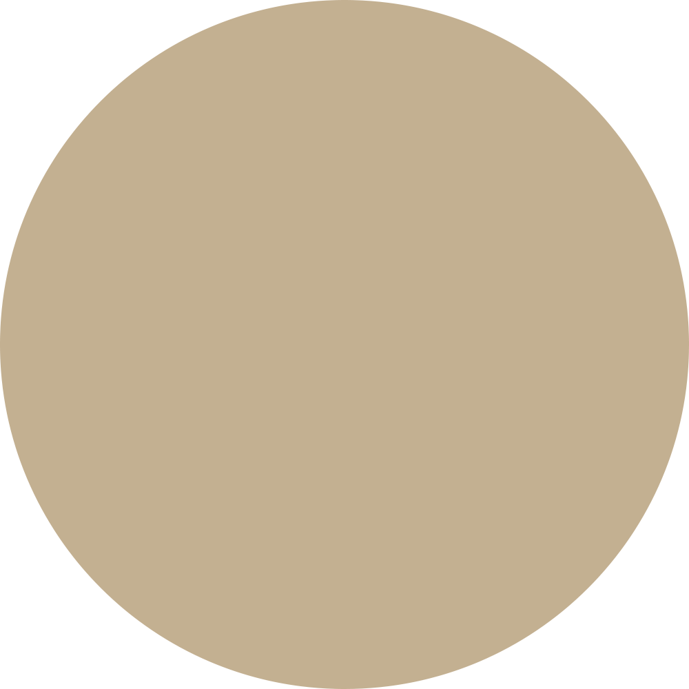 Theoldcompany- web design